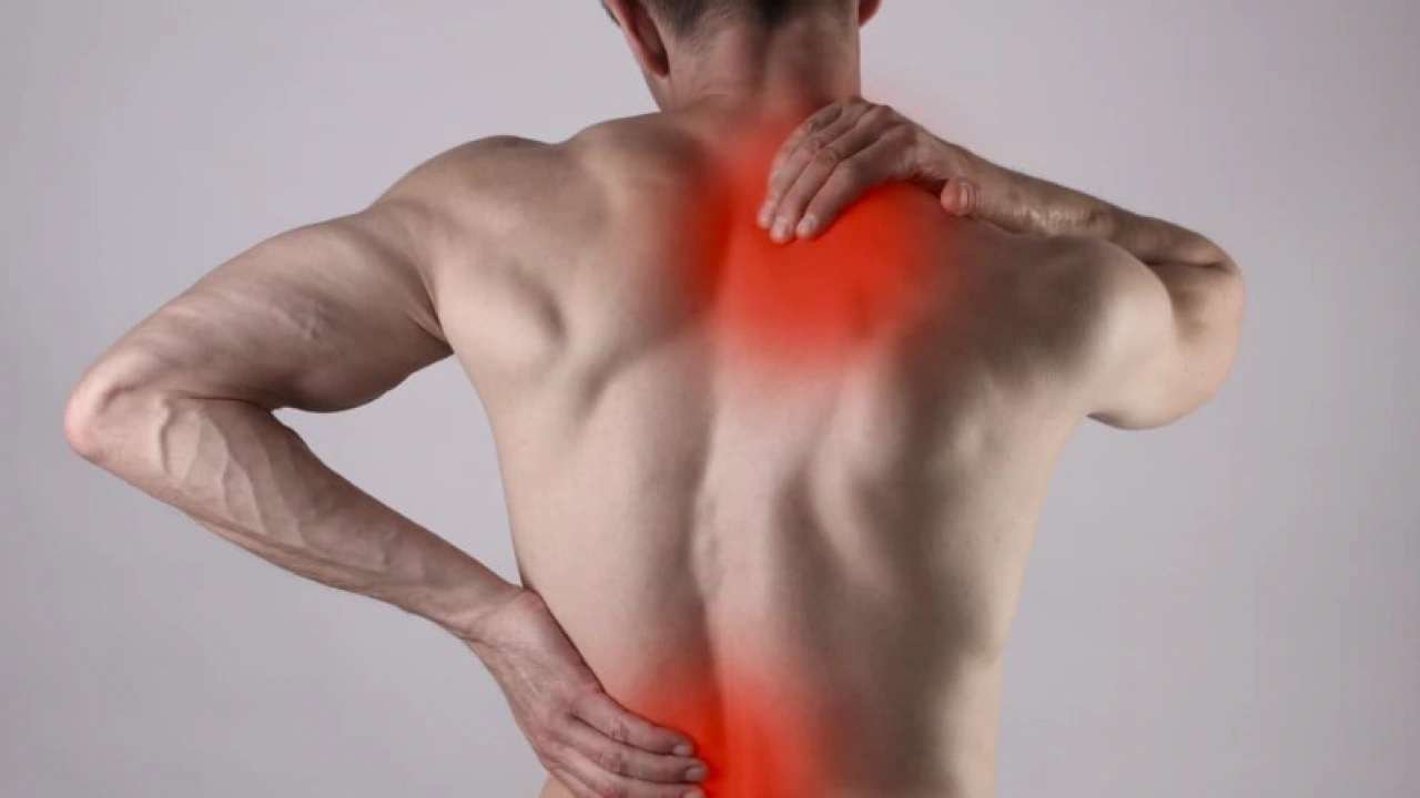 Muscle Fatigue
