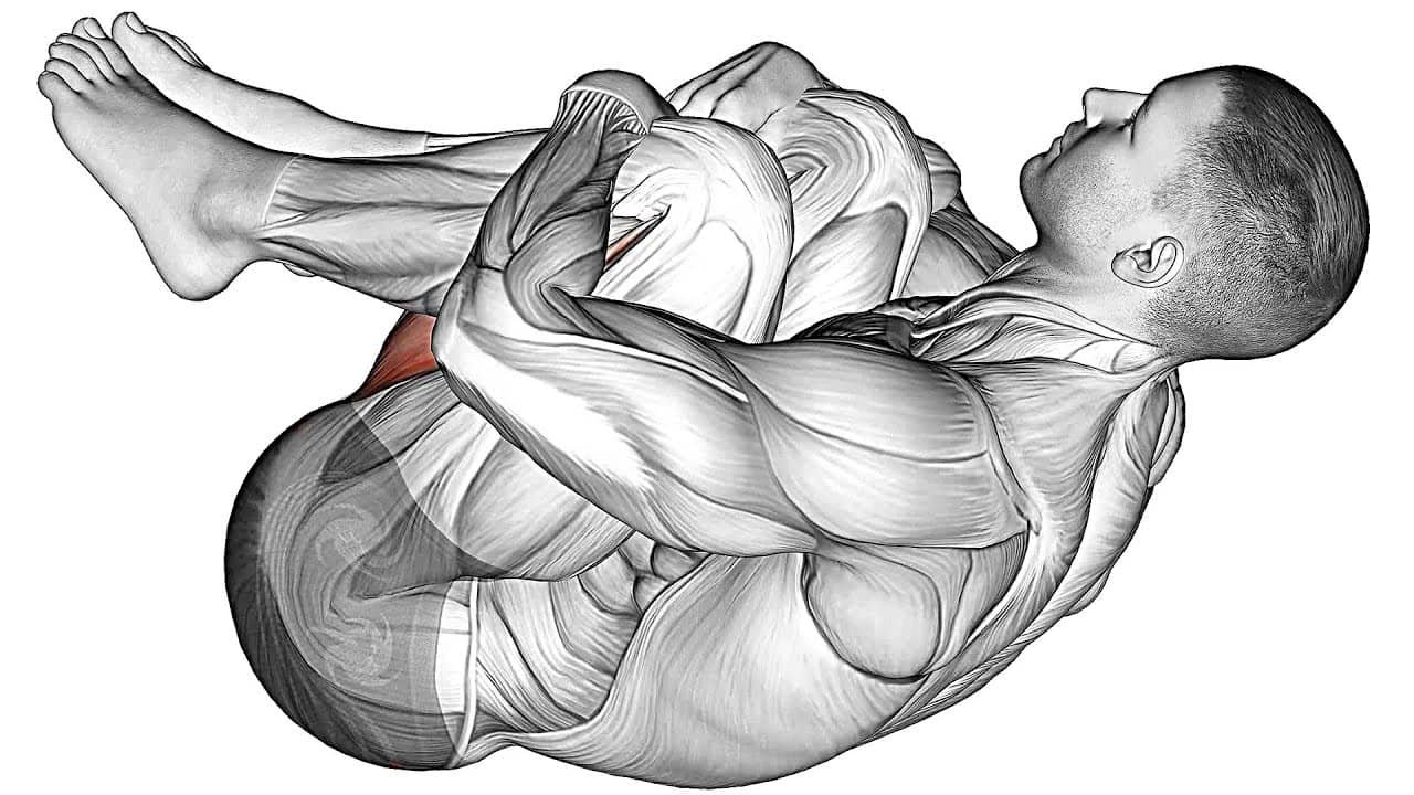 Flexibility Exercises-and-Mobility.