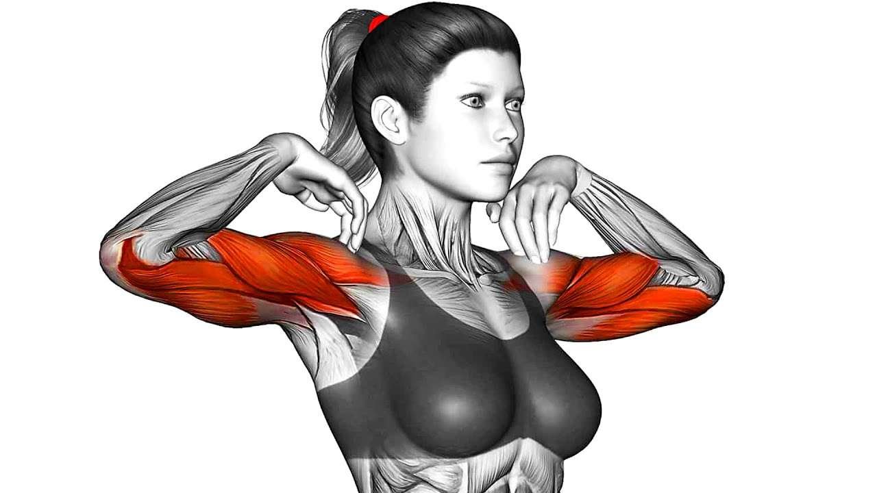 Toning the Arms and Shoulders