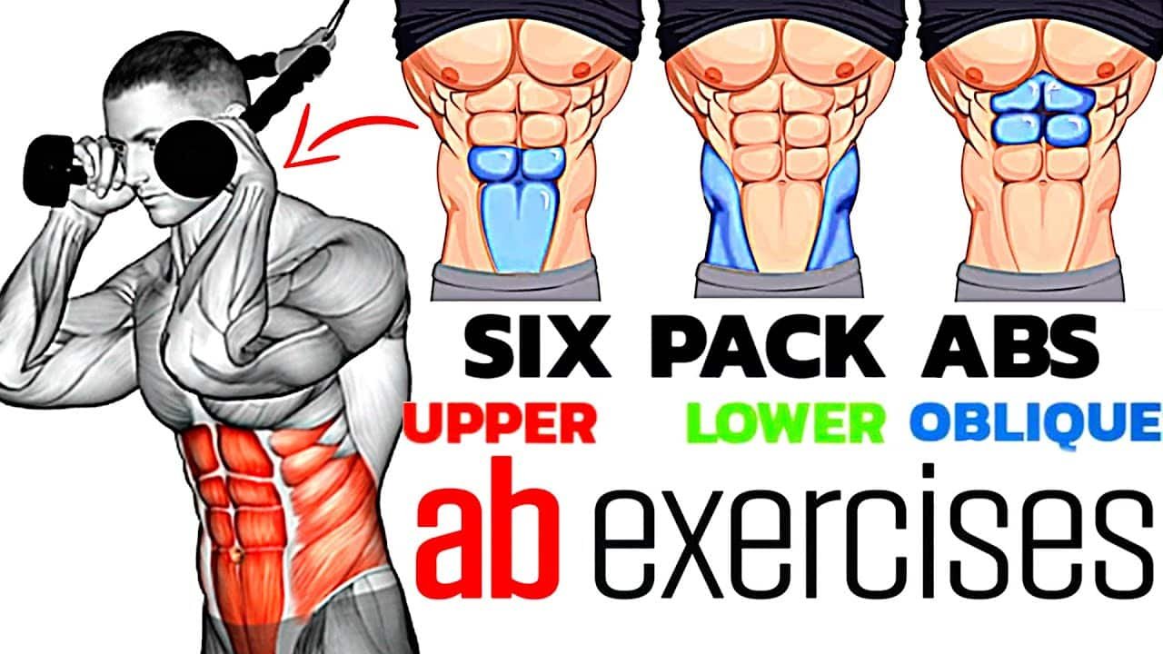 Best Cable Ab Workouts Your Ultimate Guide To Ab Workouts