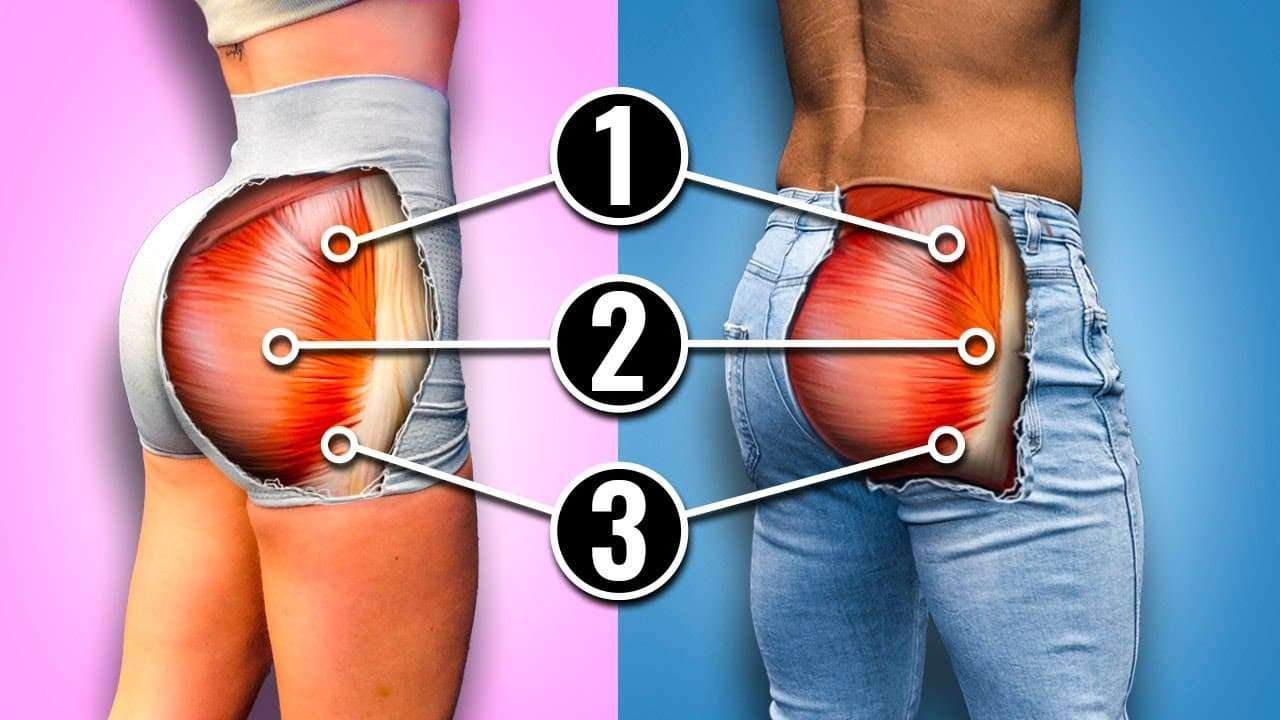 Gluteus Minimus Exercises