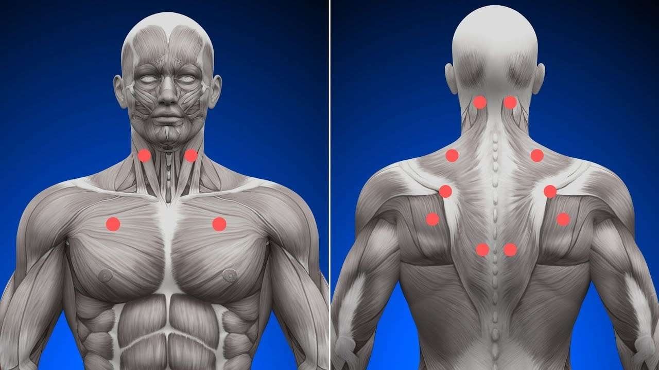 Shoulder Blade Squeezes