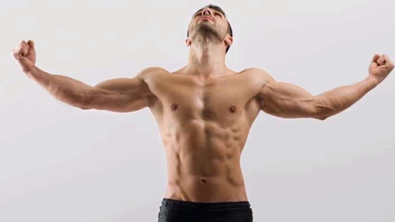 Understanding the Chest Muscles