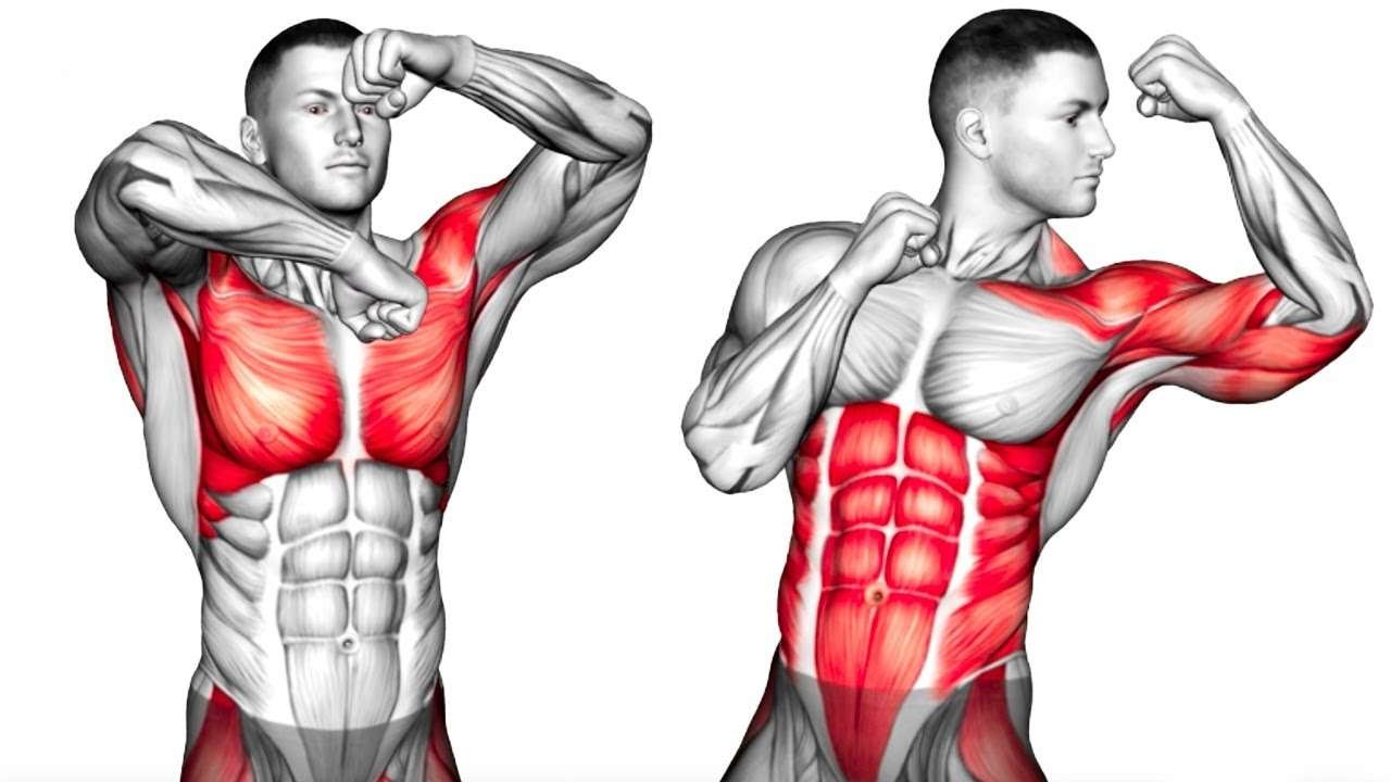 Shoulder and bicep workouts