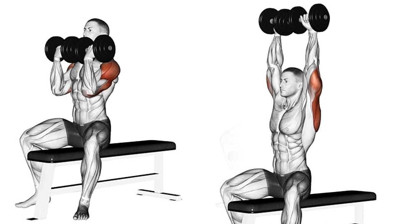 Arnold Press - Shoulder Exercises - bestknock.com