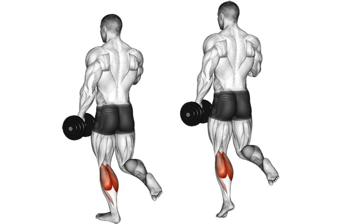Calf Raises - Knee Bursitis Exercises - bestknock.com