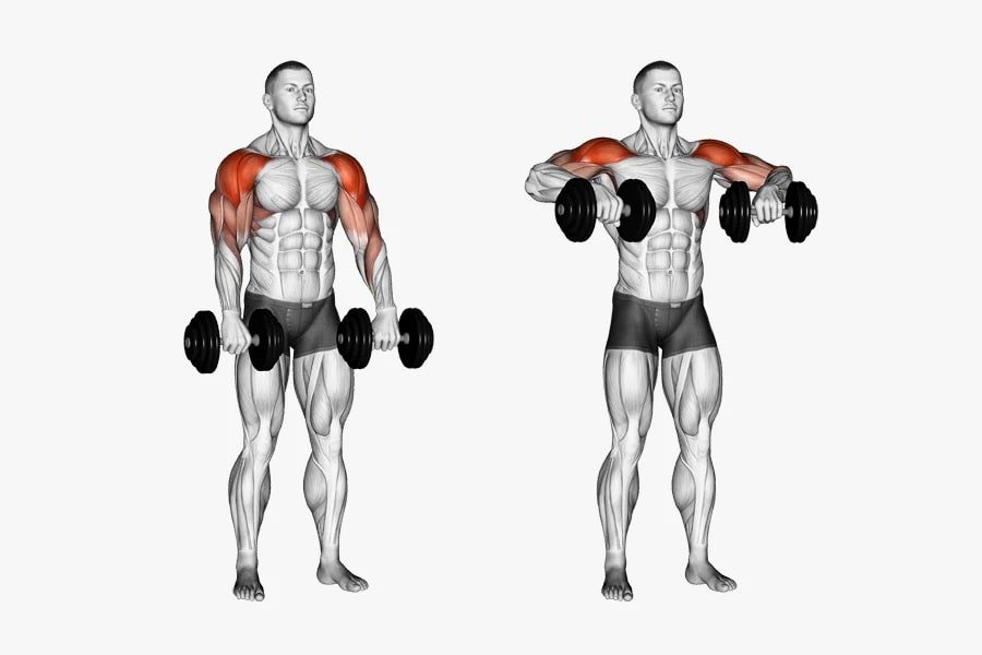 Dumbbell upright row - best shoulder workouts - bestknock.com