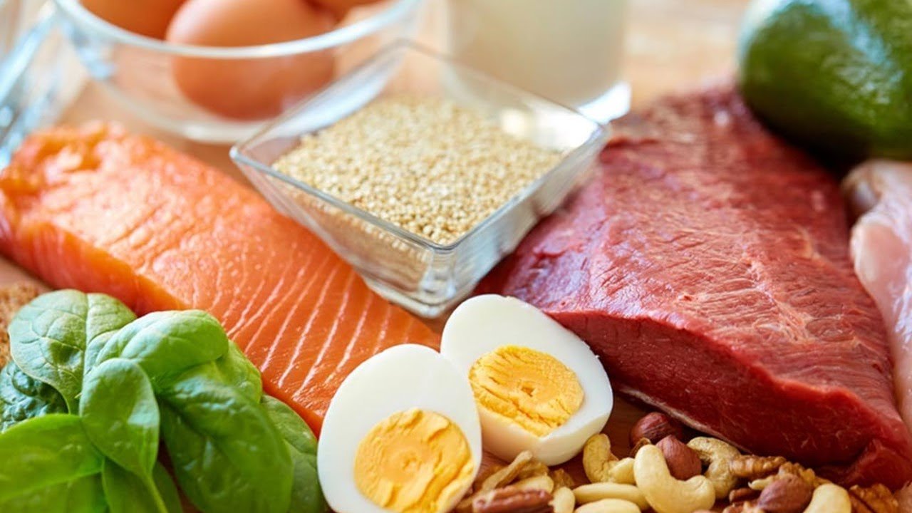 Protein Intake - Exercise for Weight Gain - bestknock.com