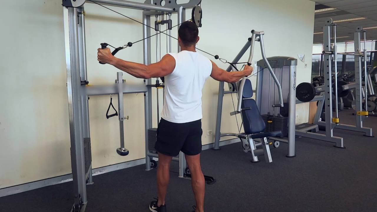 Rear Delt Fly - Shoulder Exercises - bestknock.com