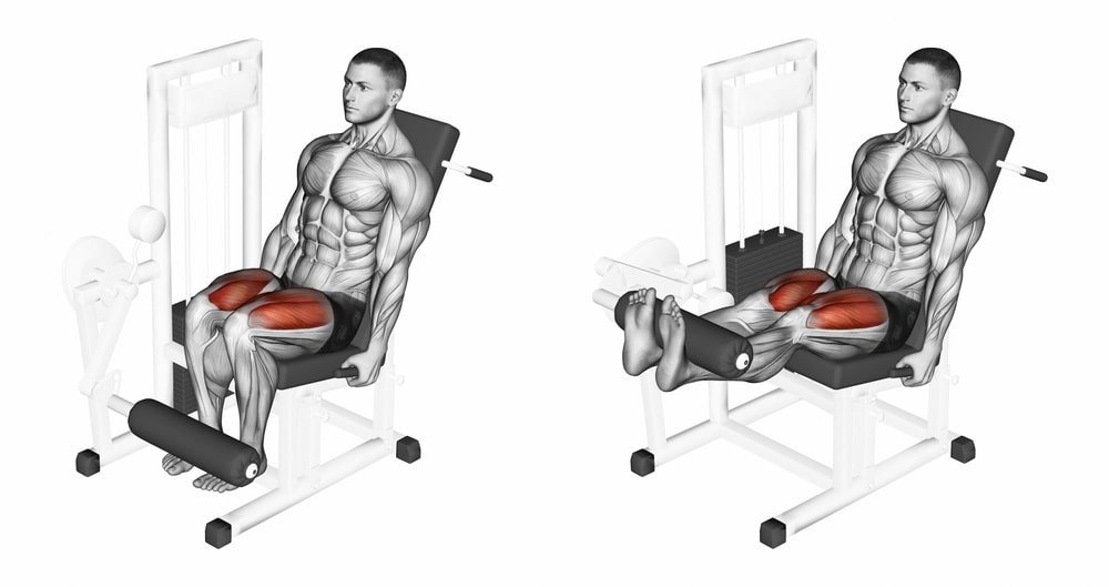 Roman Chair Leg Lifts - Roman Chair Exercises - bestknock.com