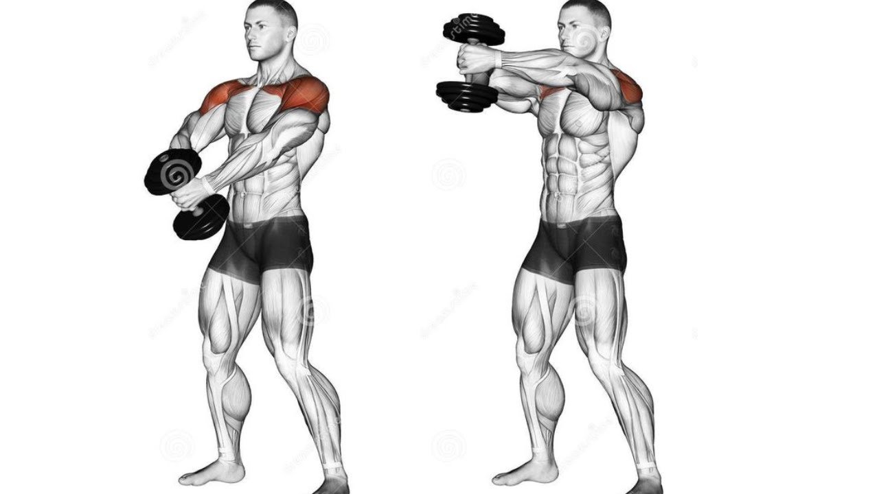 Shoulder Strength and Fitness - Shoulder Exercises - bestknock.com