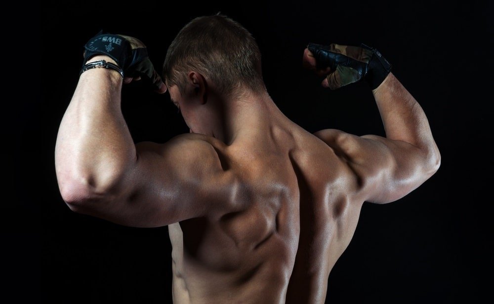 best shoulder workouts - bestknock.com