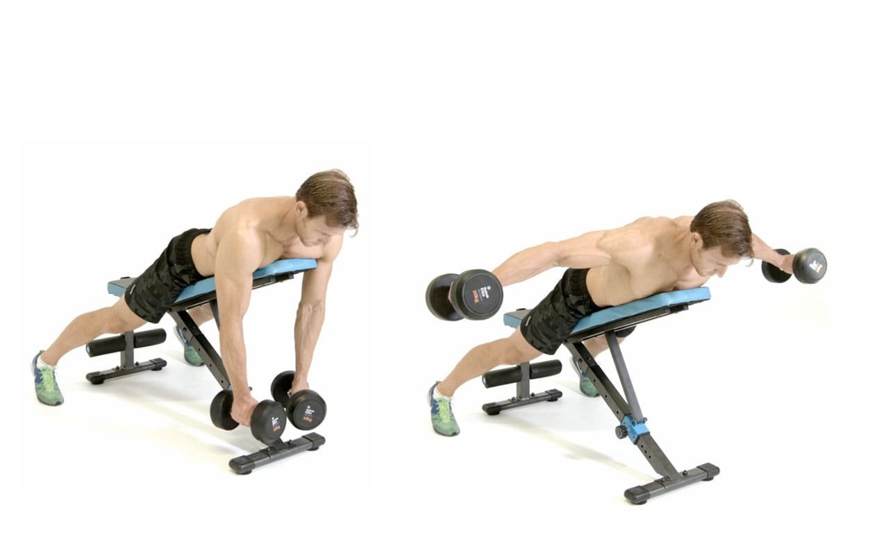 Reverse Flyes - Scapular Retraction Exercises - bestknock.com
