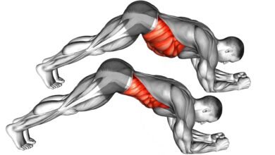 Ab Exercises Without Equipment - bestknock.com