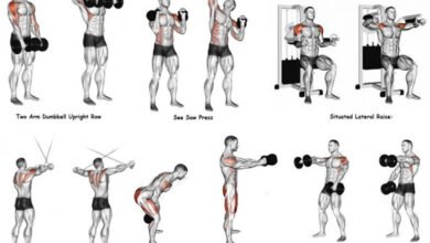 Shoulder Exercises - bestknock.com