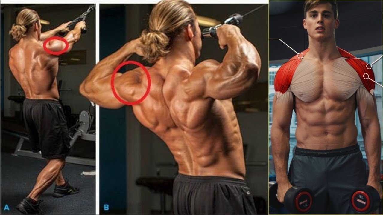 high pull exercises - bestknock.com