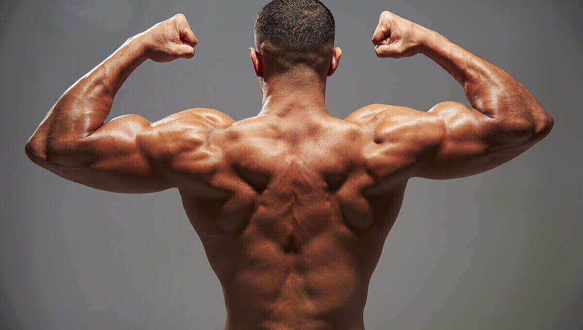 Enhanced Muscular Strength - Benefits of the Deficit Reverse Lunge Exercise - bestknock.com