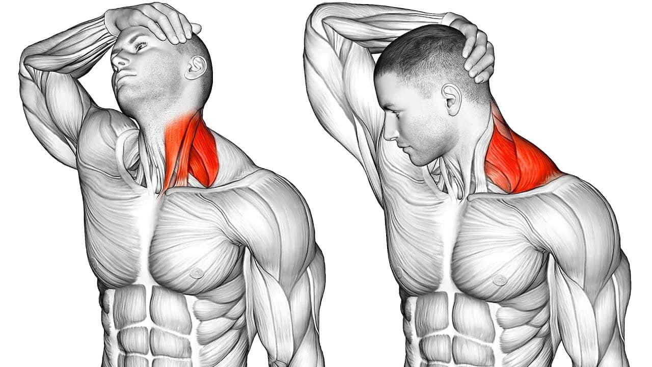 Neck Stretch - Cervicogenic Headache Exercises - bestknock.com