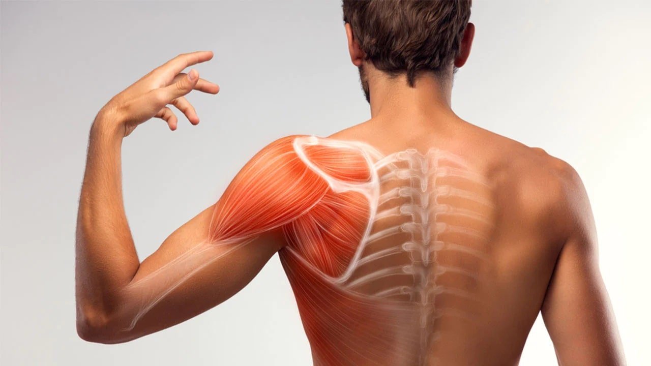 Shoulder Blade Squeeze - Upper Cross Syndrome Exercises - bestknock.com