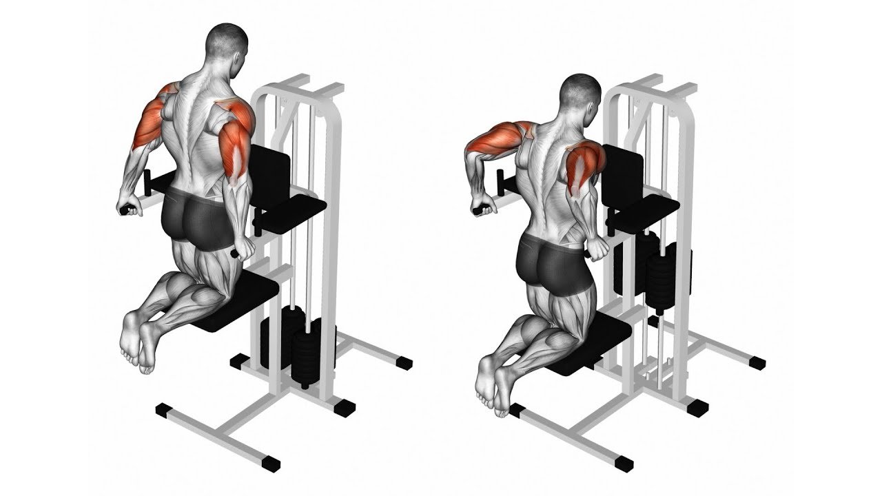 Dips - Long Head Tricep Exercises - bestknock.com