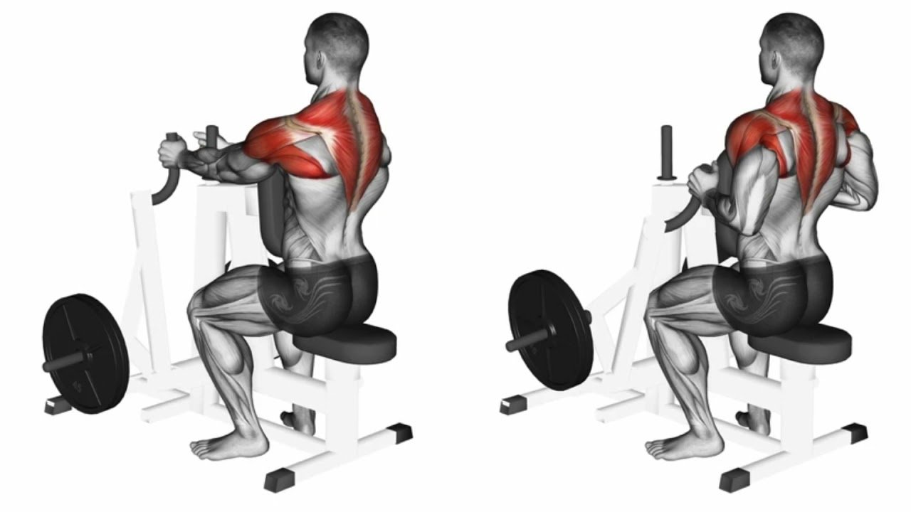 Seated Row - Pilates bar exercises - bestknock.com