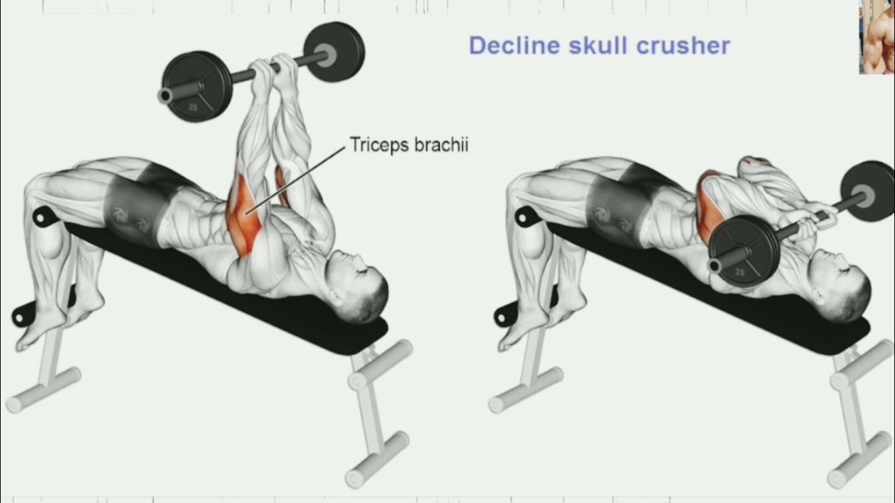 Skull Crushers - Long Head Tricep Exercises - bestknock.com
