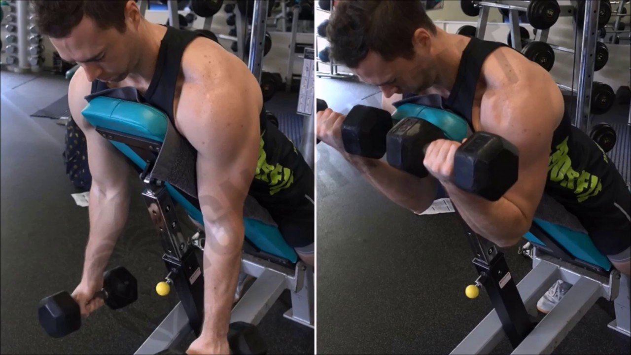 Spider Curls - Short Head Bicep Exercises - bestknock.com