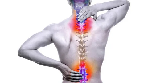 Spine - Lower Back Pain When Running - bestknock.com