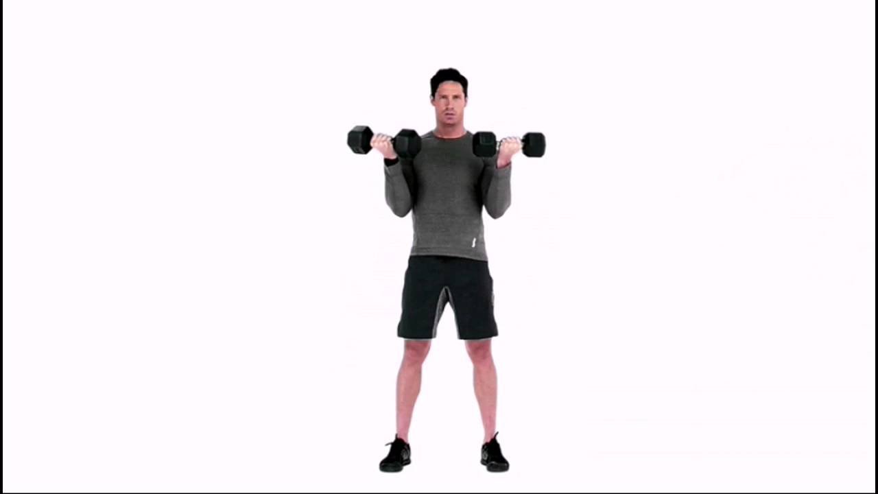 Standing Dumbbell Curls - Short Head Bicep Exercises - bestknock.com