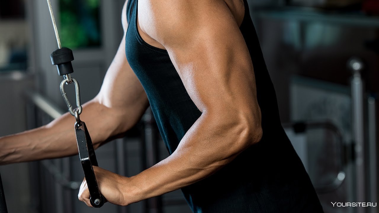 Tricep Cable Exercises - bestknock.com