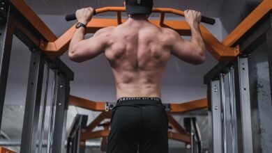 Calisthenics Back Exercises - bestknock.com