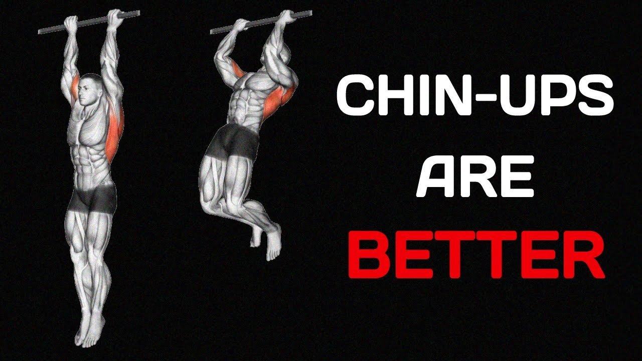 Chin-Ups - Calisthenics Back Exercises - bestknock.com
