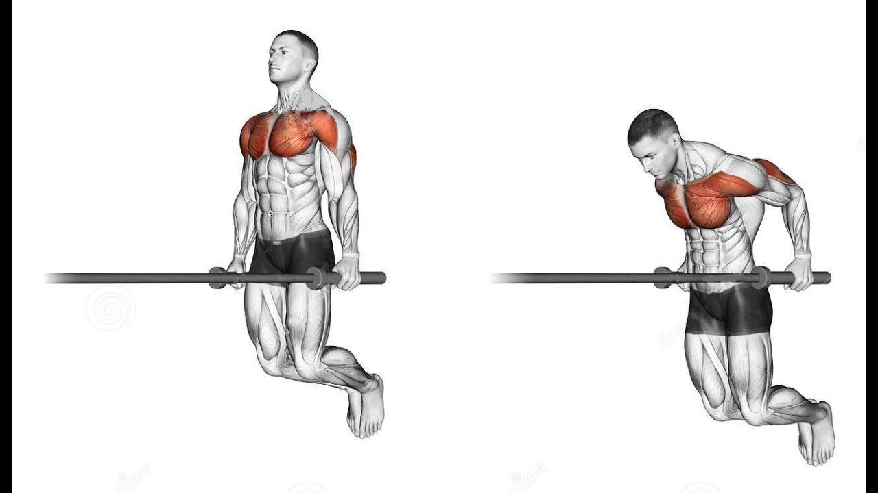 Dips - Calisthenics Chest Workout - bestknock.com