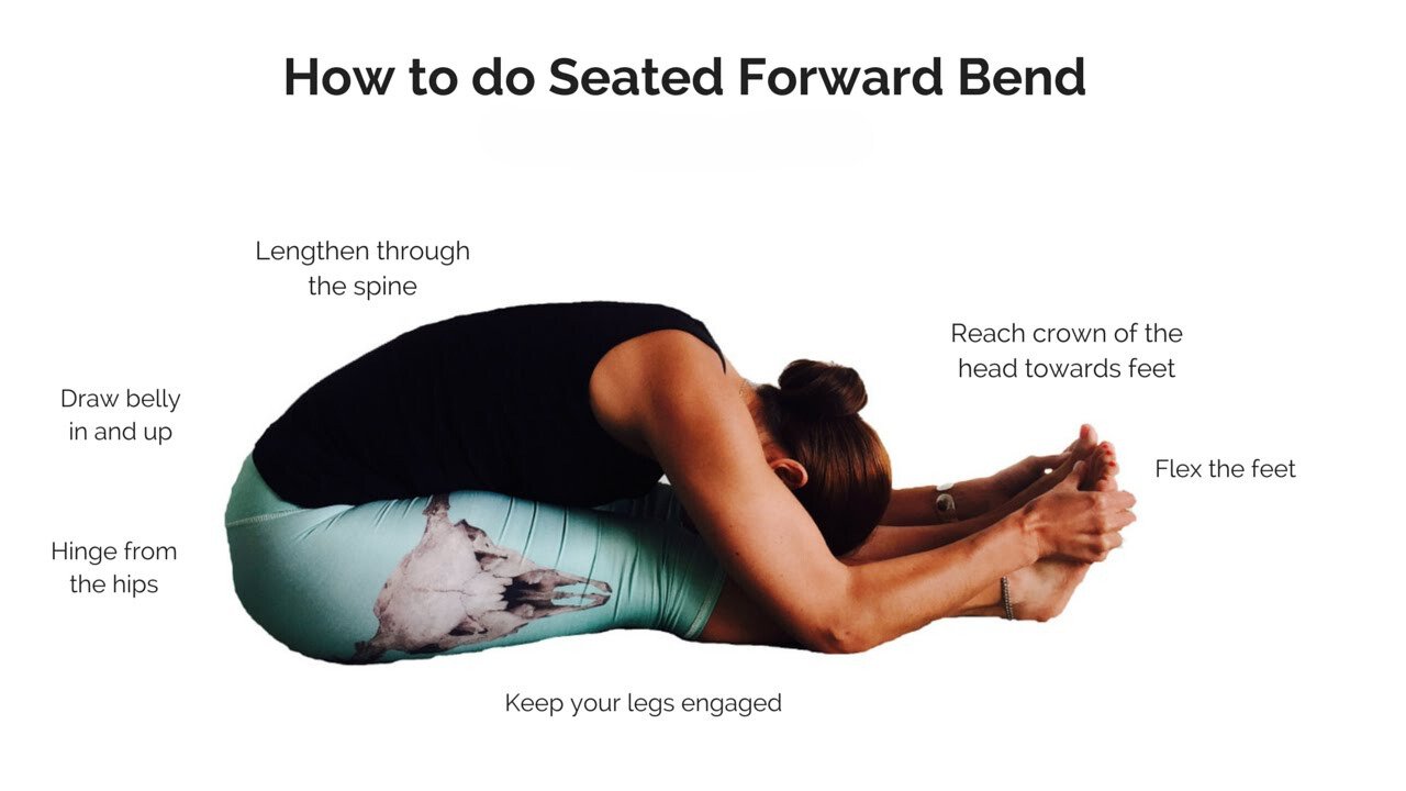 Seated Forward Bend - Yoga Poses for Two People - bestknock.com